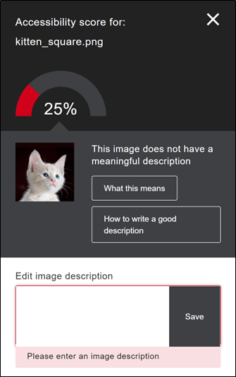 A detail of the Ally interface showing a warning that an uploaded images does not have an alternative text description. The interface includes a filed for an image description to be entered.