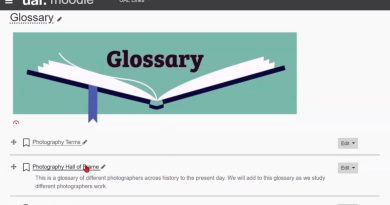 Screen Shot of Glossary on Moodle