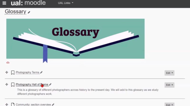 Screen Shot of Glossary on Moodle