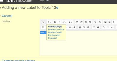 Moodle Text Editor showing how to change the style of text