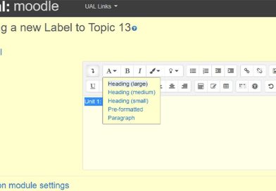 Moodle Text Editor showing how to change the style of text